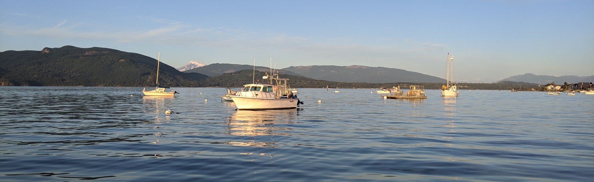 Samish Bay Summer